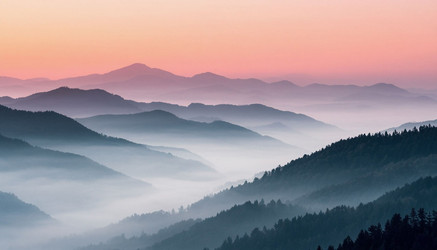 Similar image 22255519