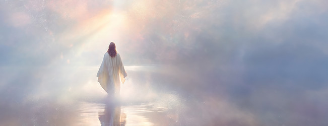 Similar image 22258518