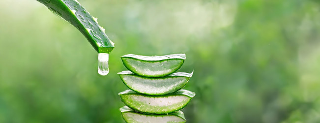 Similar image 22250279