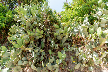 Similar image 22267343