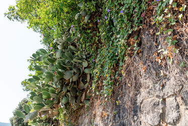 Similar image 22267344