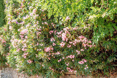 Similar image 22267345