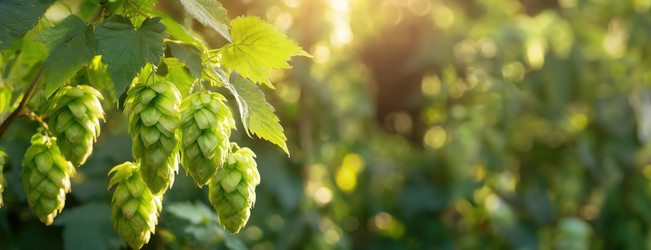 Similar image 22275446