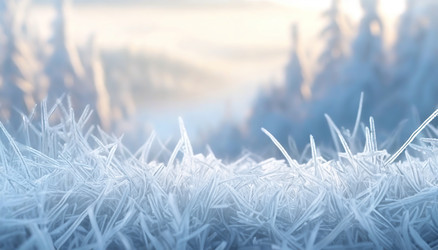 Similar image 22275455