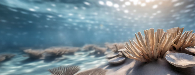 Similar image 22275485