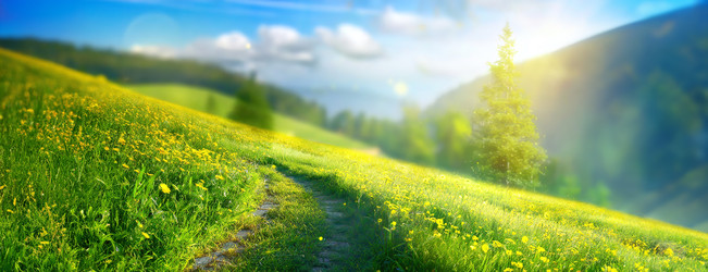 Similar image 22250288