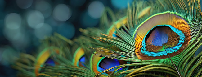 Similar image 22250292