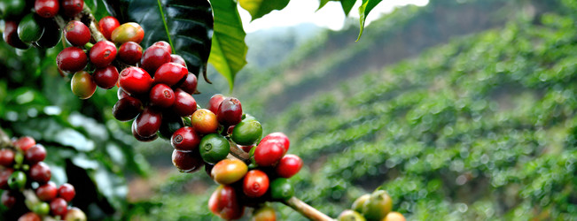 Similar image 22272127