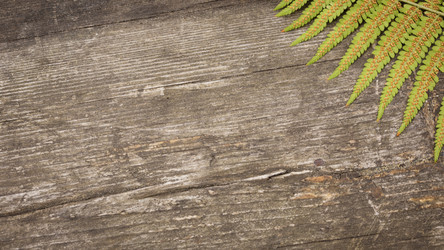 Similar image 22253214