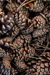 Similar image 22256090