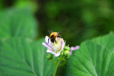 Similar image 22250785