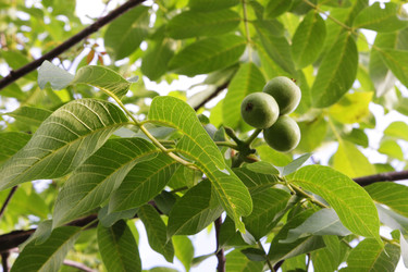 Similar image 22250786