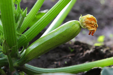 Similar image 22250787