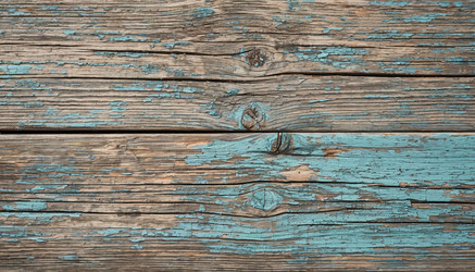 Similar image 22255694