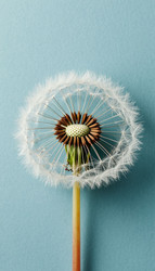 Similar image 22250489