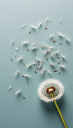 Similar image 22250491