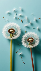 Similar image 22255144