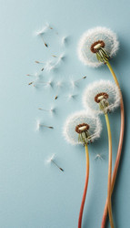 Similar image 22255293