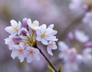 Similar image 22255696