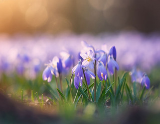 Similar image 22255851