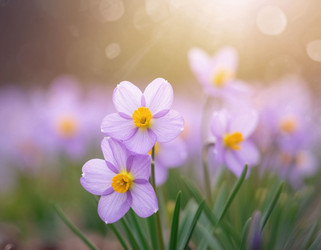 Similar image 22255852