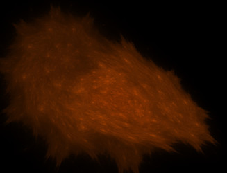 Similar image 22269461