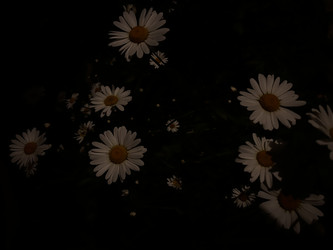 Similar image 22268631