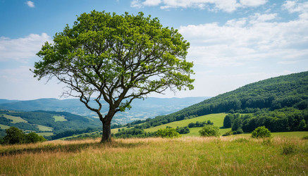 Similar image 22255567