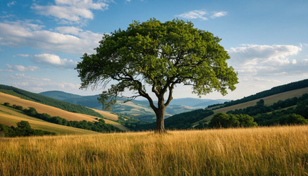 Similar image 22255569