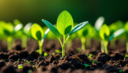 Similar image 22255733