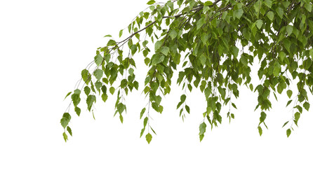 Similar image 22256032