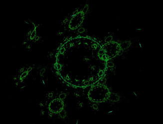 Similar image 22269128