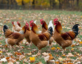 Similar image 22255574