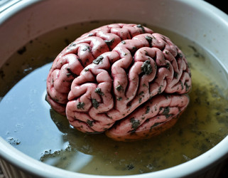 Similar image 22255580