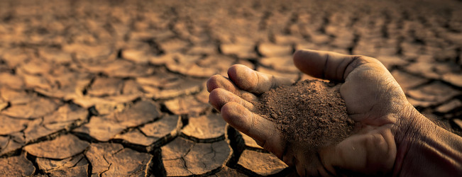 Similar image 22250298