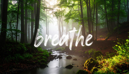 Similar image 22250302