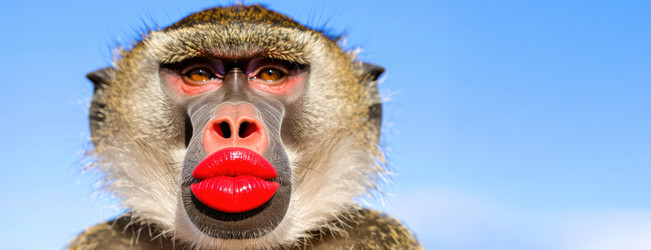 Similar image 22275649