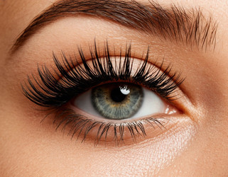 Similar image 22258659