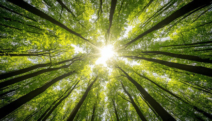 Similar image 22250518