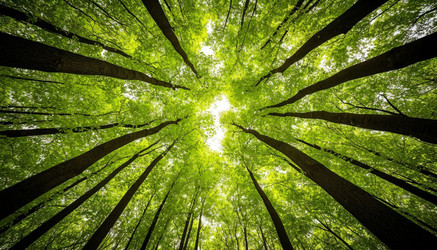 Similar image 22250520