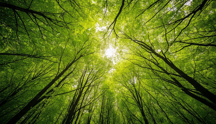 Similar image 22255151