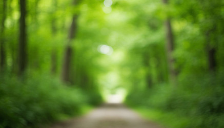 Similar image 22255336