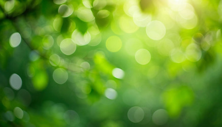 Similar image 22255596