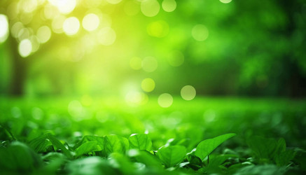 Similar image 22255599