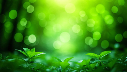 Similar image 22255601