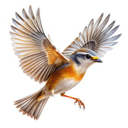 Similar image 22252754