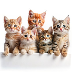 Similar image 22258937