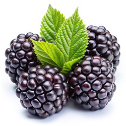 Similar image 22252276