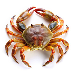 Similar image 22252280