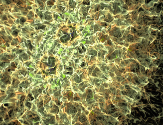 Similar image 22281126